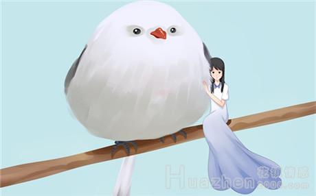 中国式相亲:父母介入是助攻还是障碍? 中国式相亲:父母介入是助攻还是障碍?